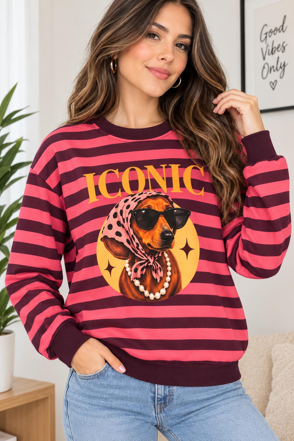 Sudadera iconic