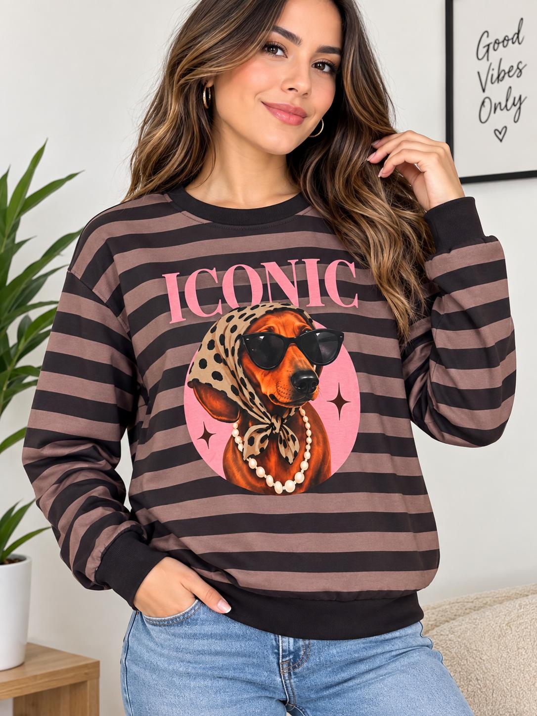 Sudadera iconic